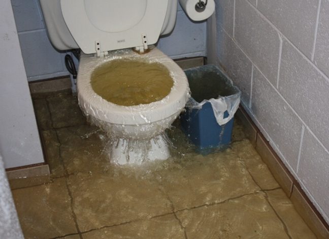Spülmittel In Die Toilette Was Passiert