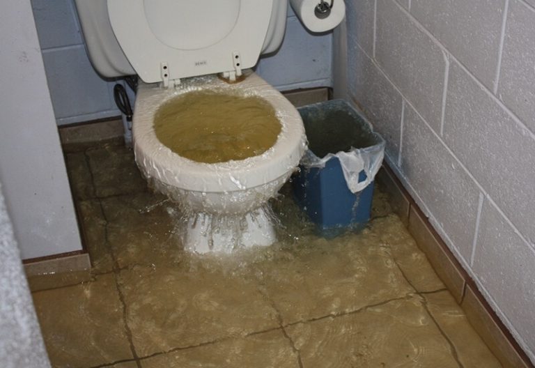 Dit is waarom je regelmatig afwasmiddel in je wc moet doen