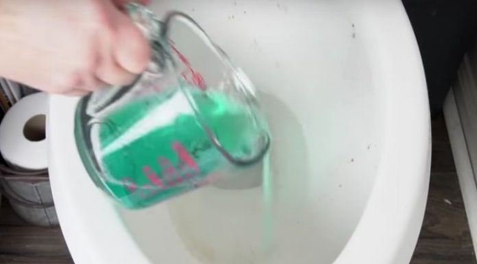 Butta il collutorio nella toilette e rimani stupiti dal risultato