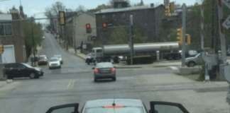 40 pictures that prove you never know what you’ll encounter while on the road