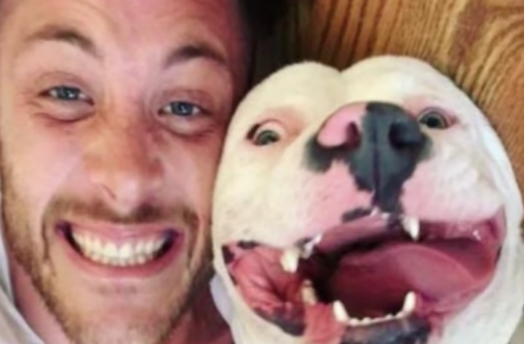 A photo of a happy adopted dog was all the evidence the police needed