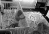 Couple Sets Up Hidden Camera In Baby’s Room And Are Shocked By What They See