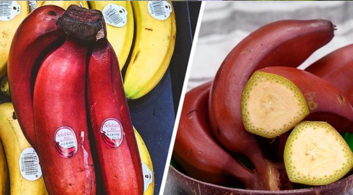 You May Never Have Heard Of These 20 Uncommon Fruits