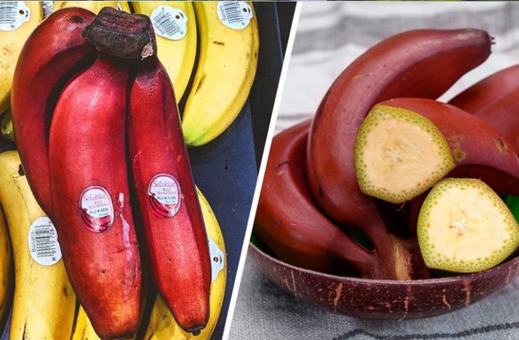 You May Never Have Heard Of These 20 Uncommon Fruits