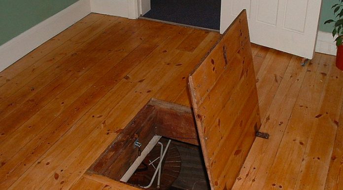 Their grandfather passed away, then they found a trap door in his living room