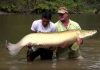 Man Journeys Into The Depths Of The Amazon To Capture A Creature Unlike Any Other