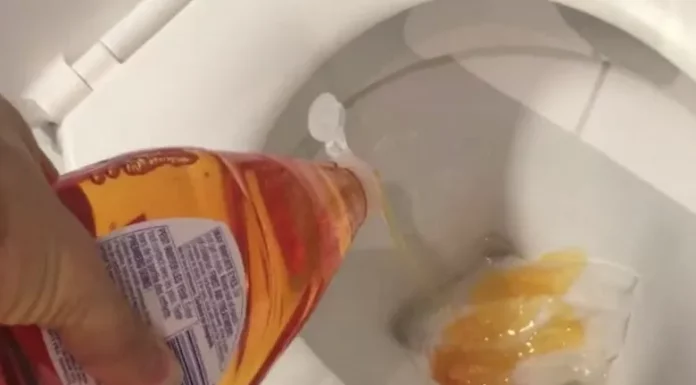 Esta é a brilhante razão pela qual você deve colocar sabão no seu vaso sanitário!