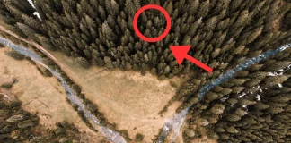 Drone συλλαμβάνει κάτι που κανείς δεν έπρεπε να δει