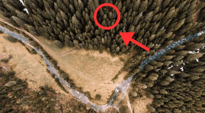 Drone συλλαμβάνει κάτι που κανείς δεν έπρεπε να δει