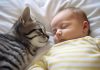 Cat won’t let baby sleep alone – parents call the police when they find out why
