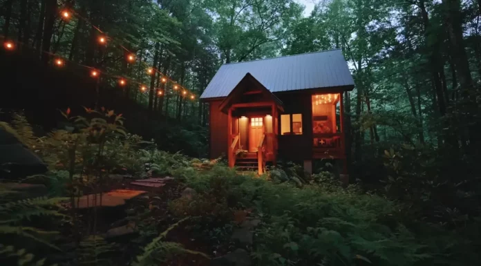 This 87-year-old lady is living in a house of only 290 sq. ft., but when you see the inside you’ll want to live there!