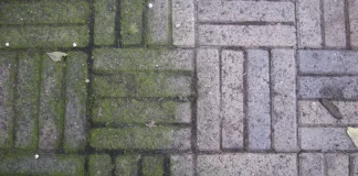 ამოიღოთ სარეველა? ამ ხრიკს დიდი დრო არ დასჭირდება! სუპერ პრაქტიკული!